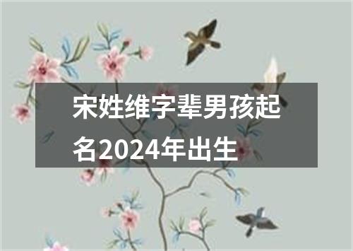 宋姓维字辈男孩起名2024年出生