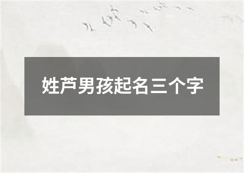 姓芦男孩起名三个字