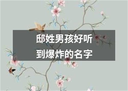 邸姓男孩好听到爆炸的名字