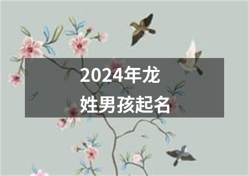 2024年龙姓男孩起名