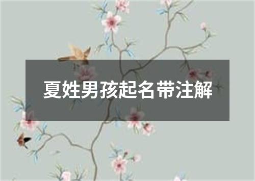 夏姓男孩起名带注解