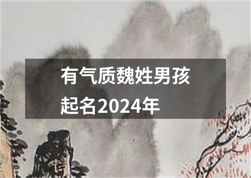 有气质魏姓男孩起名2024年