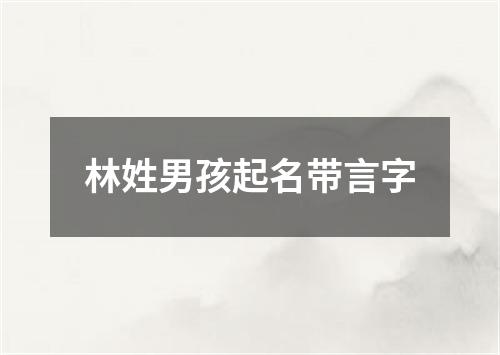 林姓男孩起名带言字