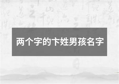 两个字的卞姓男孩名字