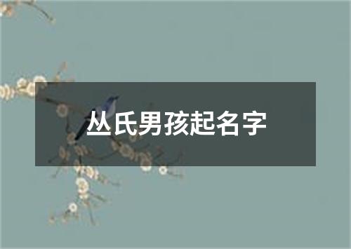 丛氏男孩起名字