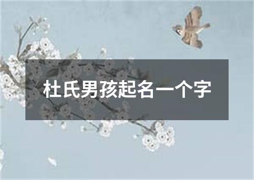 杜氏男孩起名一个字