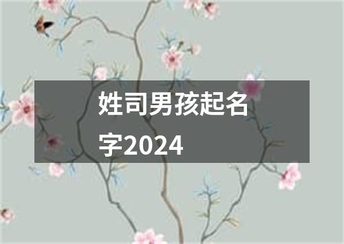 姓司男孩起名字2024