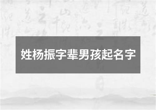 姓杨振字辈男孩起名字