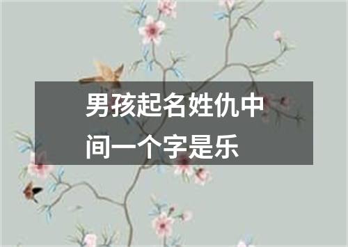 男孩起名姓仇中间一个字是乐