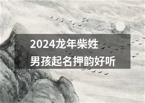 2024龙年柴姓男孩起名押韵好听