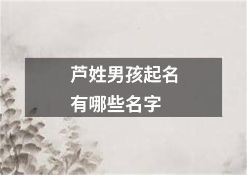 芦姓男孩起名有哪些名字