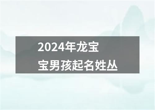 2024年龙宝宝男孩起名姓丛