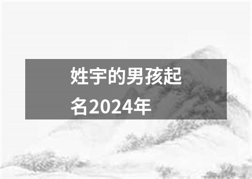 姓宇的男孩起名2024年