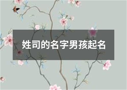 姓司的名字男孩起名