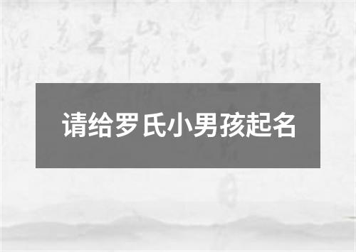 请给罗氏小男孩起名