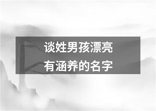 谈姓男孩漂亮有涵养的名字