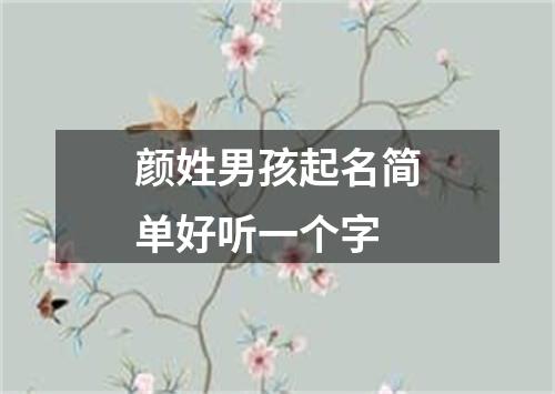 颜姓男孩起名简单好听一个字