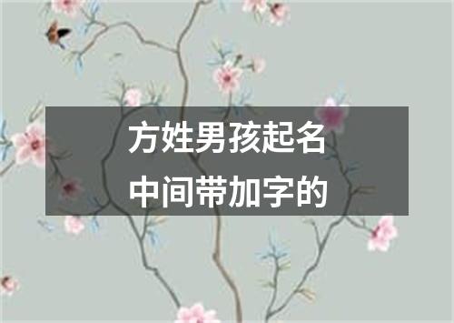 方姓男孩起名中间带加字的