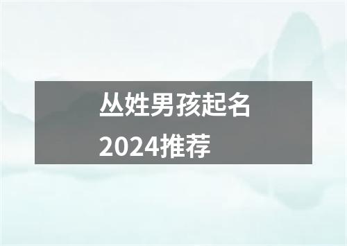 丛姓男孩起名2024推荐