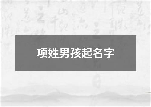 项姓男孩起名字