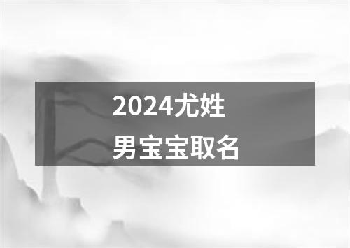 2024尤姓男宝宝取名