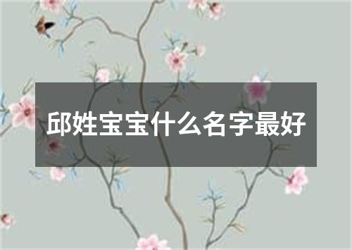 邱姓宝宝什么名字最好