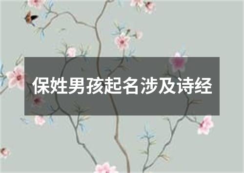 保姓男孩起名涉及诗经