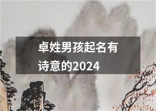 卓姓男孩起名有诗意的2024