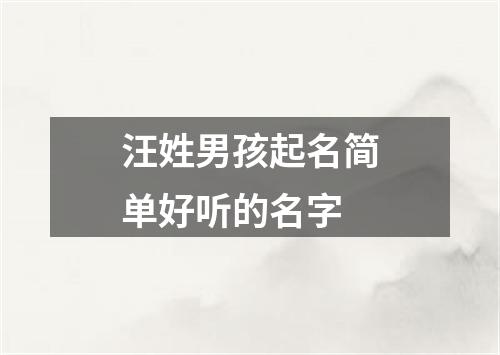 汪姓男孩起名简单好听的名字