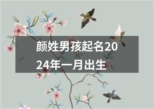 颜姓男孩起名2024年一月出生