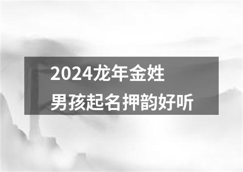 2024龙年金姓男孩起名押韵好听