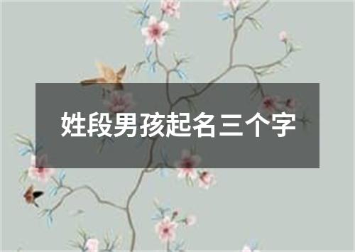 姓段男孩起名三个字