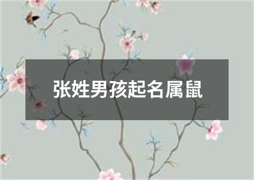 张姓男孩起名属鼠