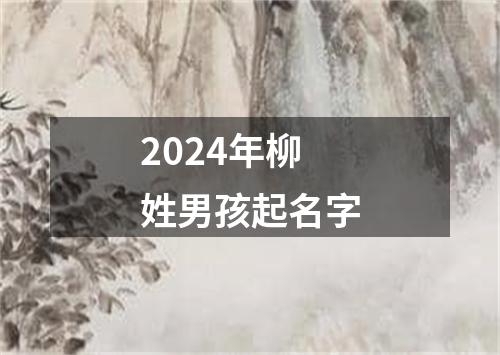 2024年柳姓男孩起名字