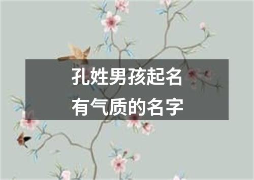 孔姓男孩起名有气质的名字