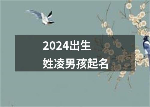 2024出生姓凌男孩起名