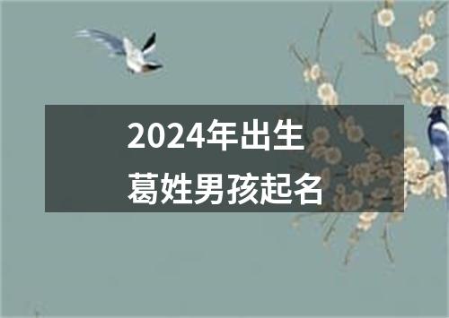 2024年出生葛姓男孩起名