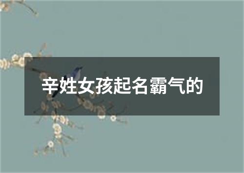 辛姓女孩起名霸气的