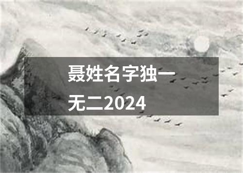 聂姓名字独一无二2024