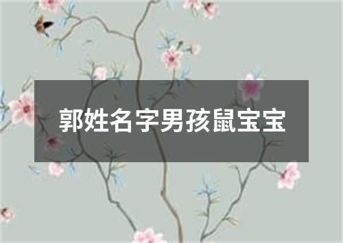 郭姓名字男孩鼠宝宝