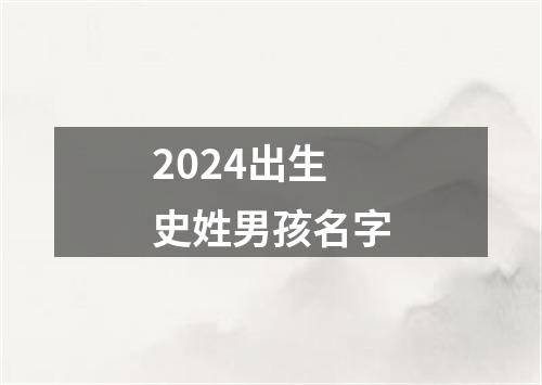 2024出生史姓男孩名字