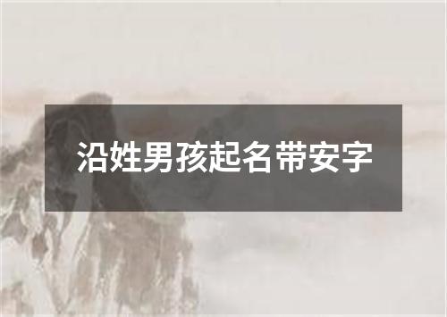 沿姓男孩起名带安字