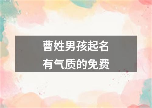 曹姓男孩起名有气质的免费