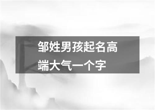 邹姓男孩起名高端大气一个字