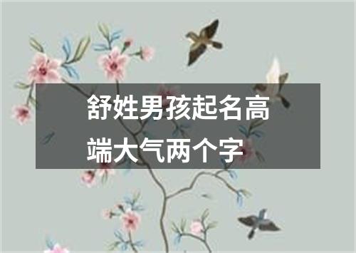 舒姓男孩起名高端大气两个字