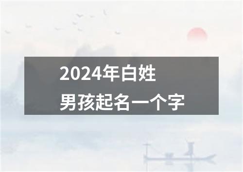 2024年白姓男孩起名一个字