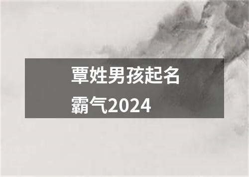 覃姓男孩起名霸气2024