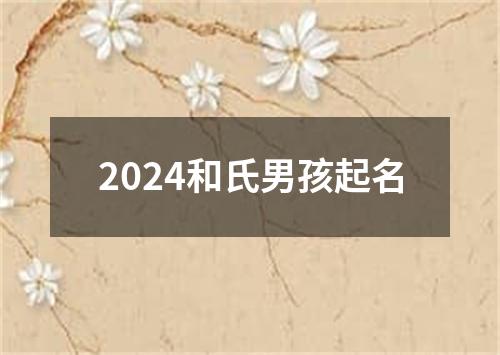 2024和氏男孩起名