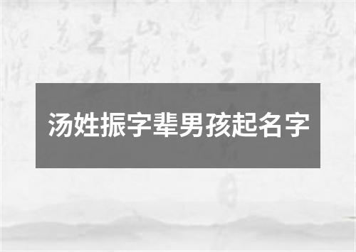 汤姓振字辈男孩起名字