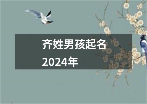 齐姓男孩起名2024年